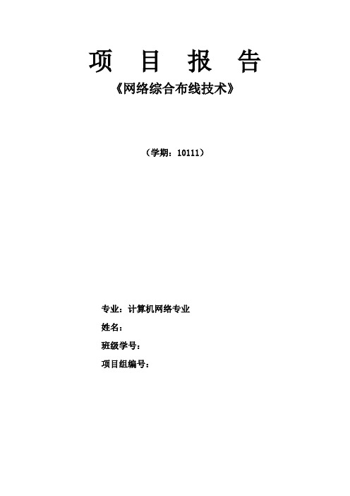 测试网络连通性报告模板