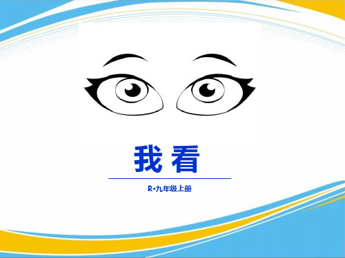 《我看》PPT【优秀课件】