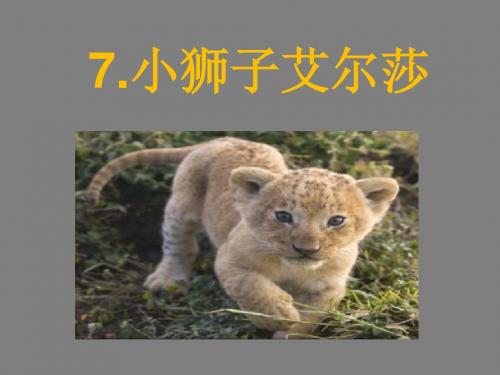 【冀教版】2019年春四年级下册语文：第7课《小狮子爱尔莎》ppt教学课件