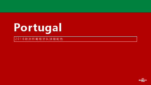 体育运动PPT模板之24张欧洲杯球服配色PPT模板2套