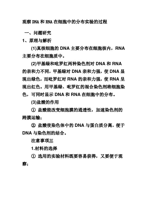 观察DNA和RNA在细胞中的分布实验的过程