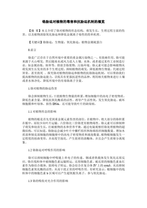 铬胁迫对植物的毒害和抗胁迫机制的概览