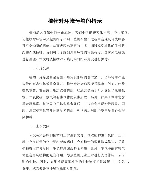 植物对环境污染的指示