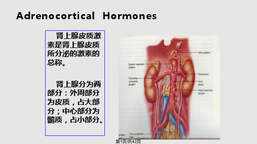药理学——糖皮质激素PPT课件