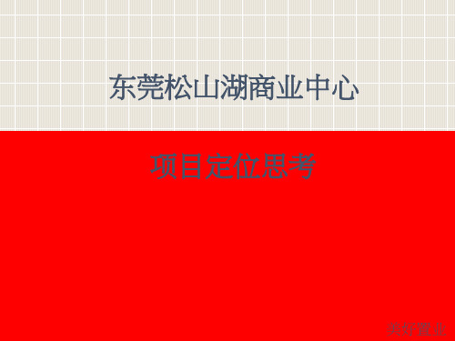 东莞松山湖商业中心项目定位沟通方案