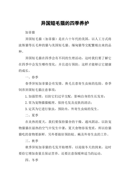 异国短毛猫的四季养护