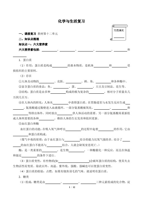化学与生活复习(含答案)  精品导学案
