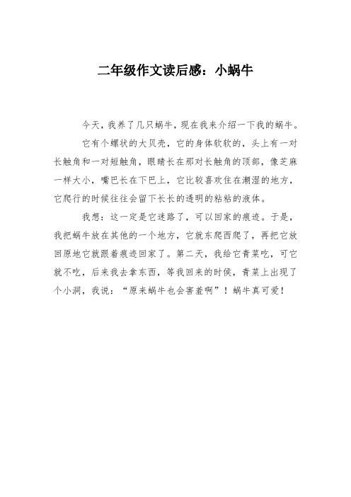 二年级作文读后感：小蜗牛