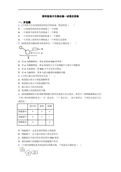 浙科版高中生物必修一试卷及答案