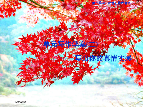 高中语文第2单元此情可待成追忆元写作学案(二)写出你的真情实感
