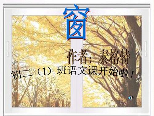 窗PPT14 苏教版 (共12张PPT)