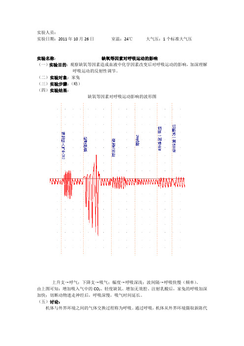 缺氧等因素对呼吸运动的影响