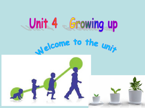 牛津译林英语 九年级上册Unit4Welcome(共18张PPT)