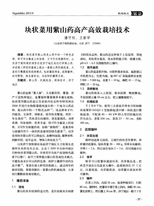 块状菜用紫山药高产高效栽培技术
