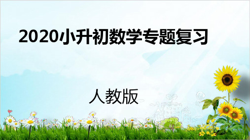 六年级下册数学小升初专题复习 数与代数 精品PPT人教新课标1