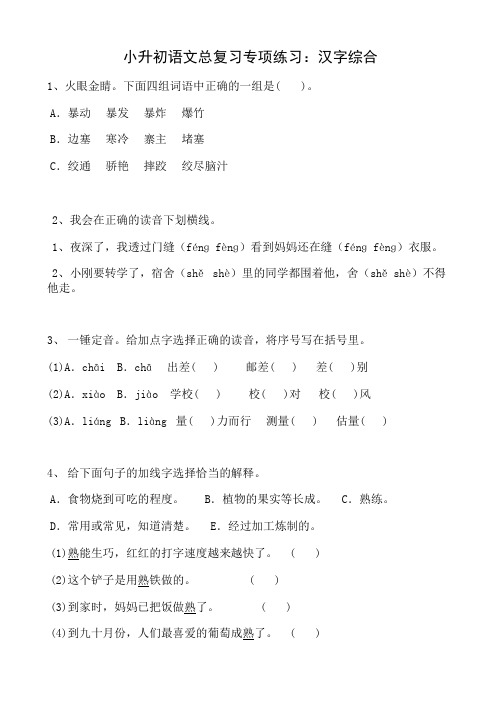 小升初语文总复习专项练习：汉字综合(附答案)