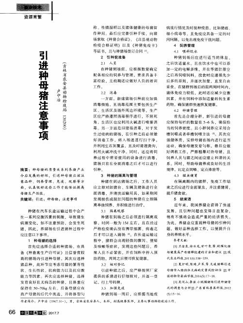 引进种母猪注意事项