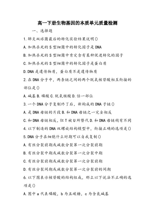 高一下册生物基因的本质单元质量检测
