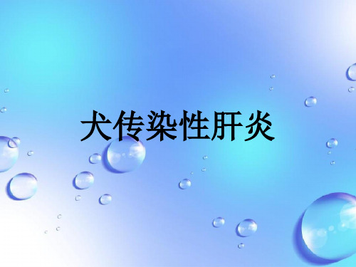 课程资料：犬传肝