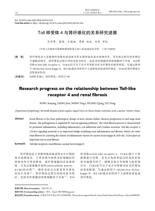 toll样受体4与肾纤维化的关系研究进展
