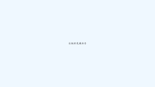 让组织充满活力 PPT