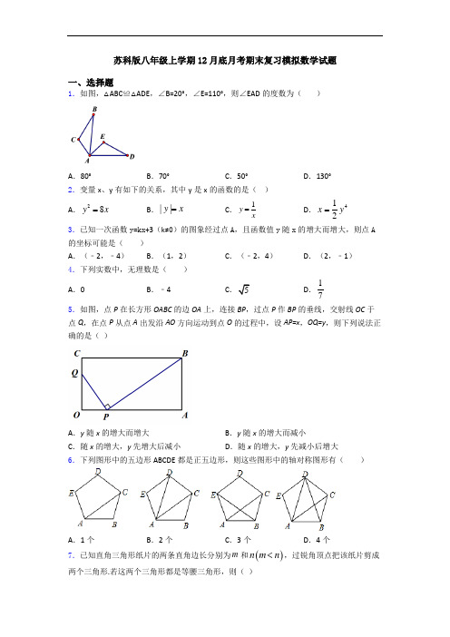 苏科版八年级上学期12月底月考期末复习模拟数学试题