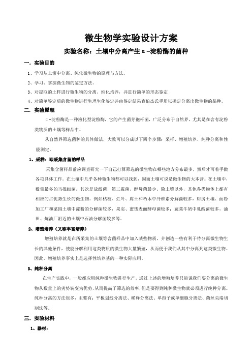 土壤中分离产生α-淀粉酶的菌种