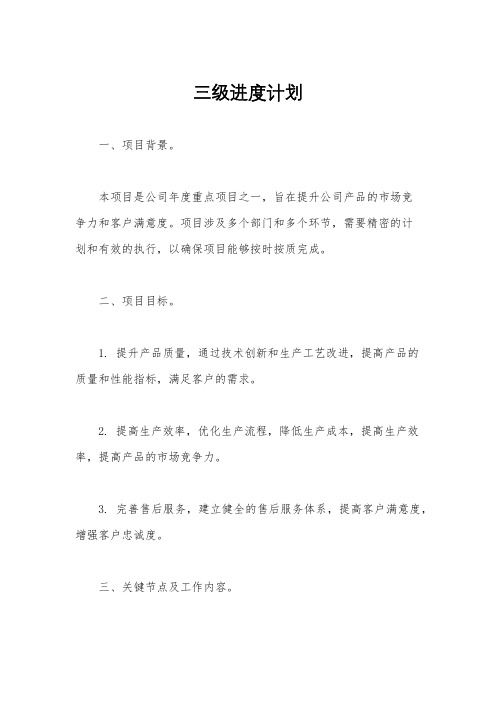 三级进度计划
