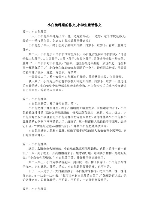 小白兔种菜的作文_小学生童话作文