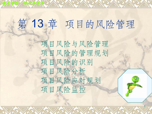 项目的风险管理ppt课件