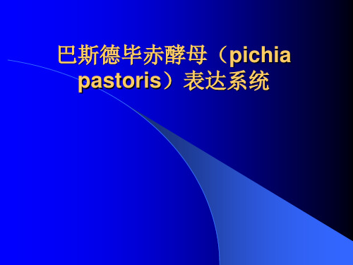 巴斯德毕赤酵母(Pichia pastoris)表达系统综述