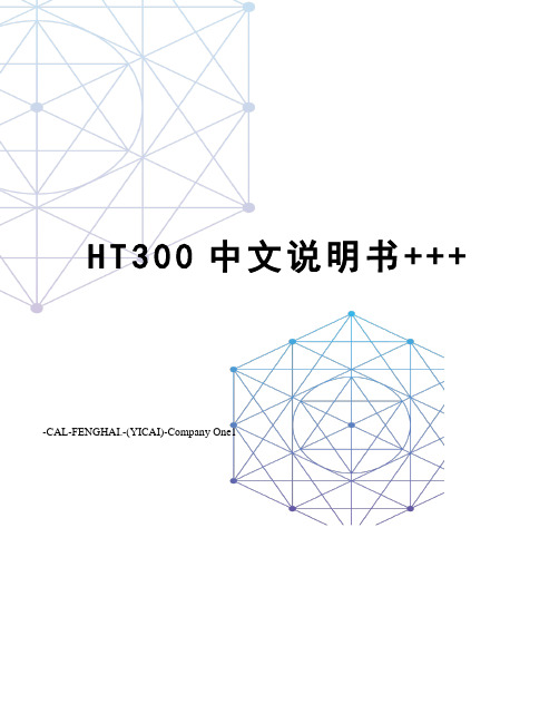 HT300中文说明书+++