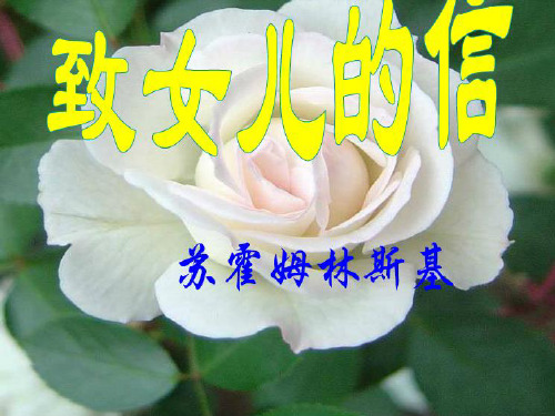 《致女儿的一封信》优秀课件