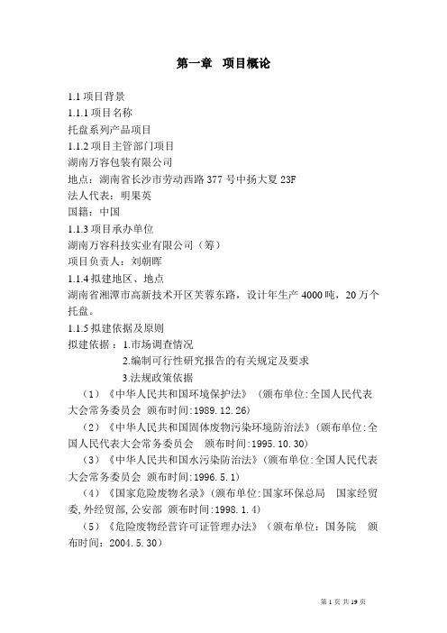 托盘项目可行性分析研究报告.doc