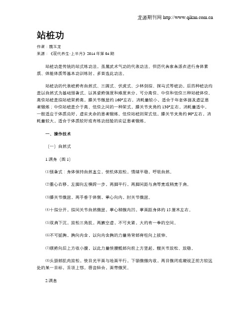 站桩功