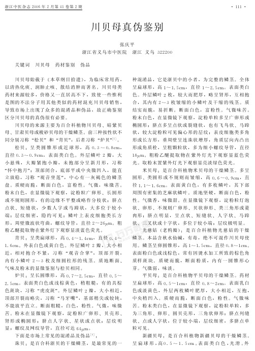川贝母真伪鉴别
