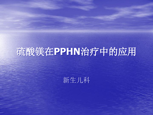 硫酸镁治疗PPHN精品PPT课件
