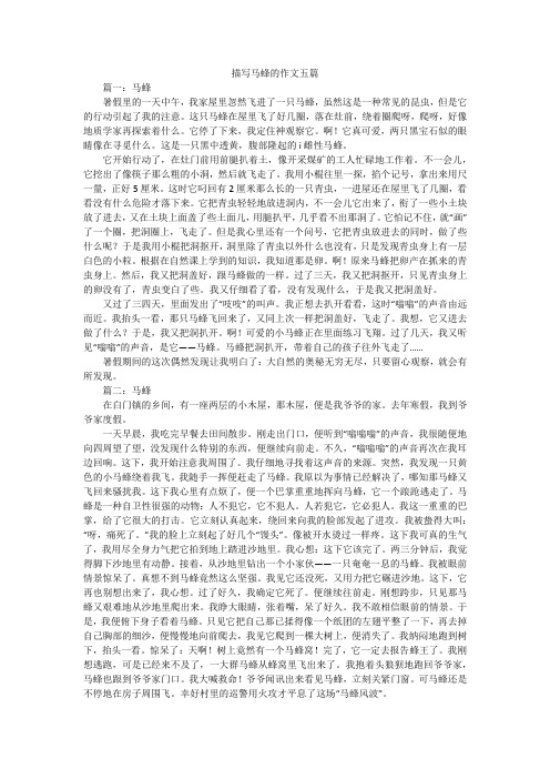 描写马蜂的作文五篇