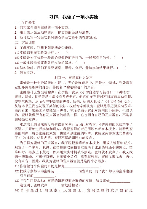 人教版部编版三年级语文下册  第四单元习作