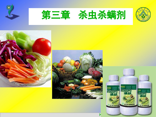 《杀虫杀螨剂》PPT课件
