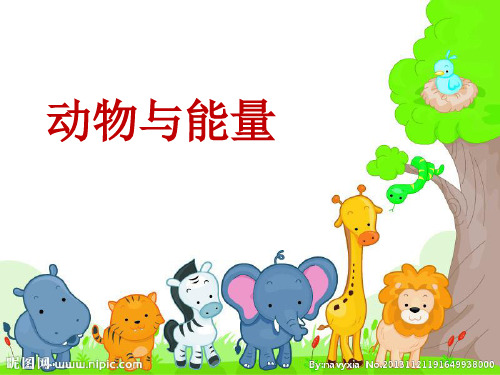 六年级-科学-动物与能量 (1)