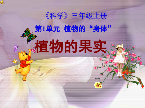 小学三年级科学上册《植物的果实》课件