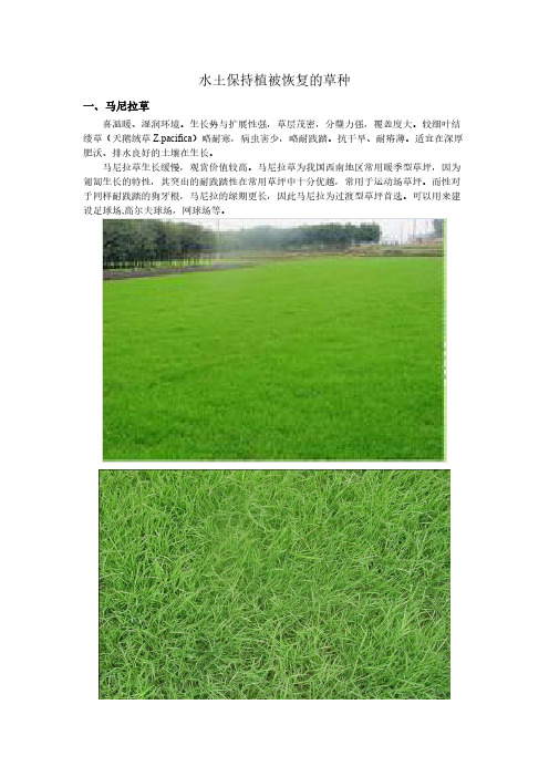 水土保持植被恢复的草种