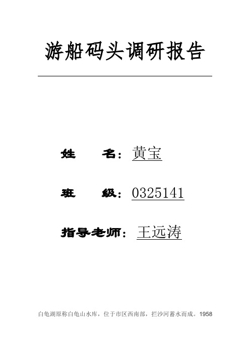 游船码头调研报告