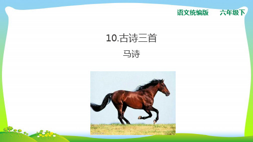 人教统编版六年级下册语文课件-10古诗三首 马诗 (共18张PPT).ppt