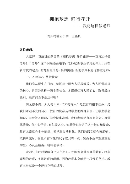 师德师风演讲稿  (拥抱梦想 静待花开)