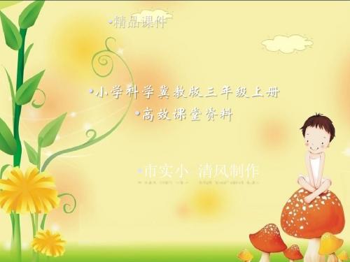 小学科学冀教版三年级上册高效课堂资料《观察土壤》课件