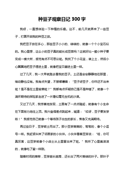 种豆子观察日记300字