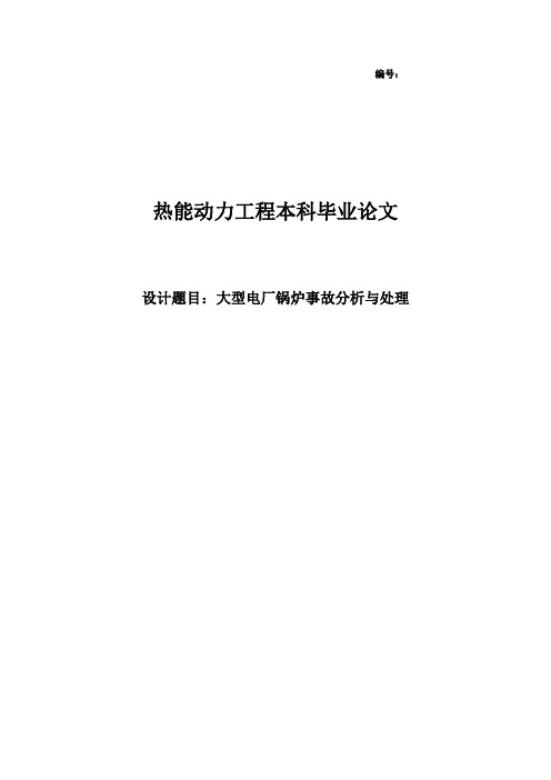 大型电厂锅炉事故分析与处理毕业论文 精品