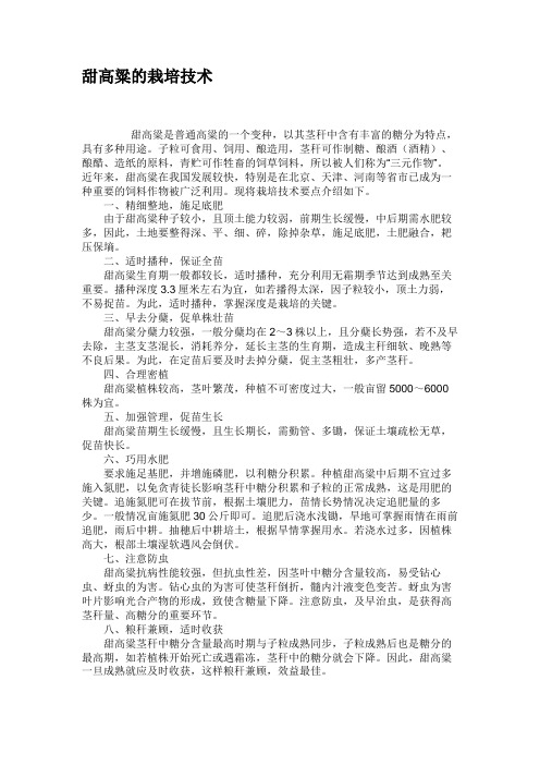 甜高粱的栽培技术(精)